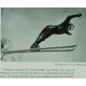 Snø og ski- 1951
