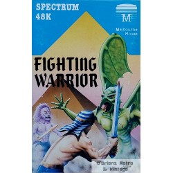 Fighting Warrior