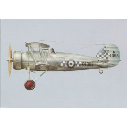 Gloster Gauntlet No. 19 Squadron Royal Air Force - Postkort