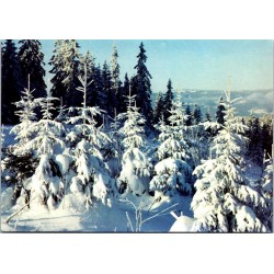 Vinterlandskap med grantrær og snø - Postkort