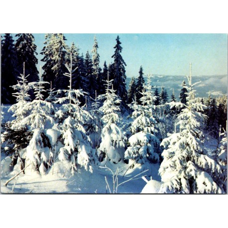 Vinterlandskap med grantrær og snø - Postkort