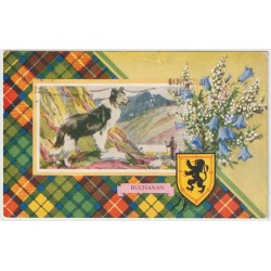 Scotch Sheep Dog - Clan Crest - Buchanan - Postkort