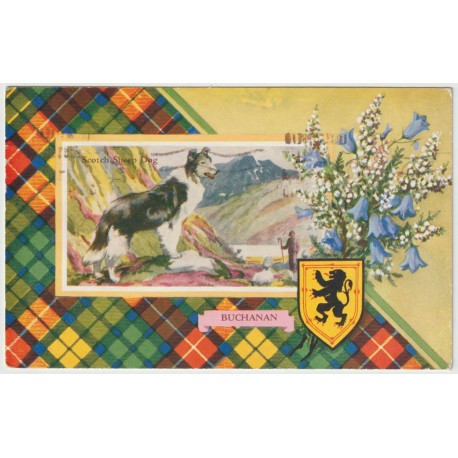 Scotch Sheep Dog - Clan Crest - Buchanan - Postkort