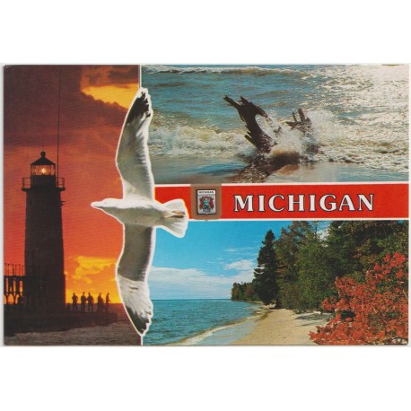 Michigan - Flere motiv - USA - Postkort