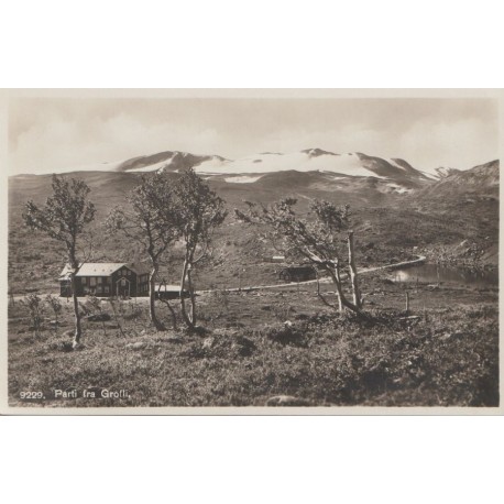 Parti fra Grotli - Oppland - Postkort