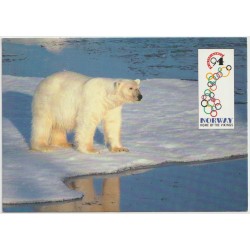 Isbjørn - Polar Bear - 94 Winter Games - Postkort