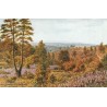The Golden Valley - Hindhead - England - Postkort