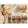 Centenary of the AFL - Hawthorn - The Hawks - Postkort