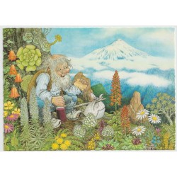 Trollrike - Matrast - Etter tegning av Rolf Lidberg - Postkort