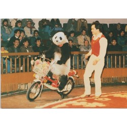 Panda Jiao Jiao on the Motorcycle - Postkort