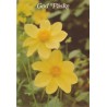 God Påske - Dahlia - Georginer - Postkort