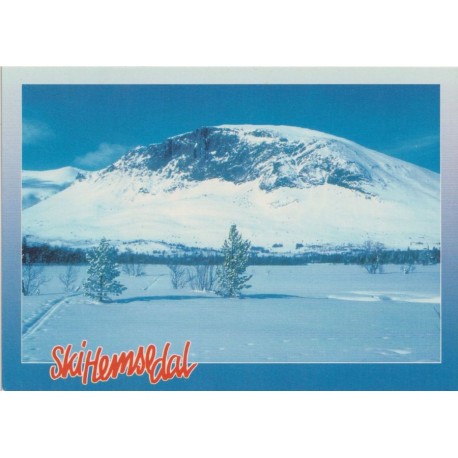 Skoghorn - Hemsedal - Buskerud - Postkort