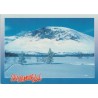 Skoghorn - Hemsedal - Buskerud - Postkort