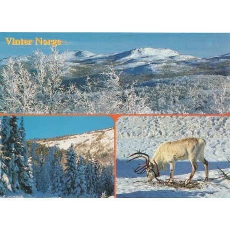Norge Vinter - Postkort