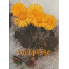 God Påske - NAAF - Postkort