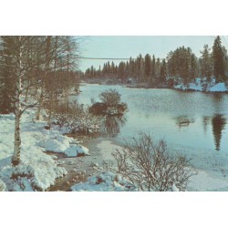 Norge - Vårløsning - Postkort