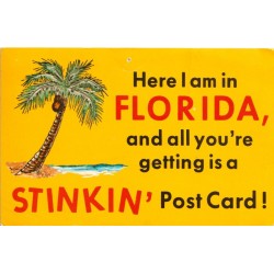 Here I am in Florida - USA - Postkort