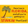 Here I am in Florida - USA - Postkort