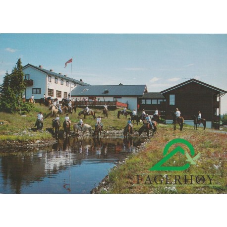 Fagerhøy Fjellstue AS - Nesbyen - Postkort