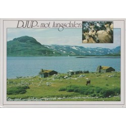 Djup - Mot Lungsdalen - Hallingdal - Postkort