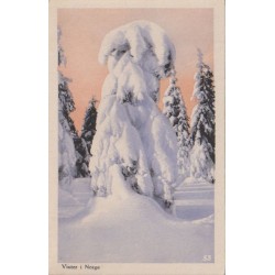 Vinter i Norge - Nr. 53 - Postkort