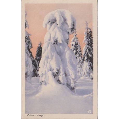 Vinter i Norge - Nr. 53 - Postkort