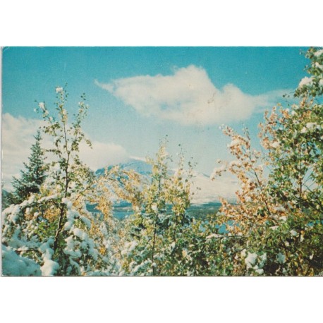 Høstmotiv fra Golsfjellet og Skogshorns fjellmassiv - Postkort