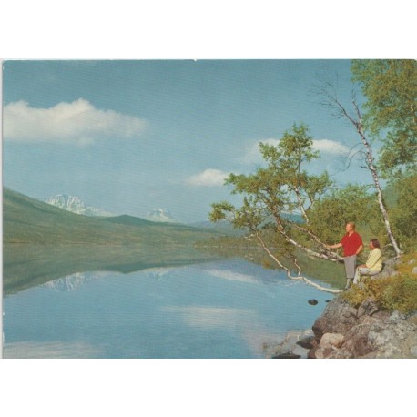 Parti fra Storlidalen - Oppland - Postkort