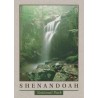 Shenandoah National Park - Doyle River Falls - USA - Postkort