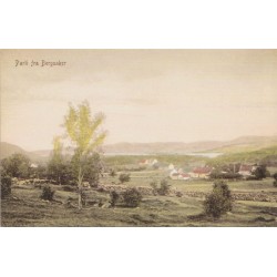Parti fra Bergsaker - Reproduksjon - Rogaland - Postkort