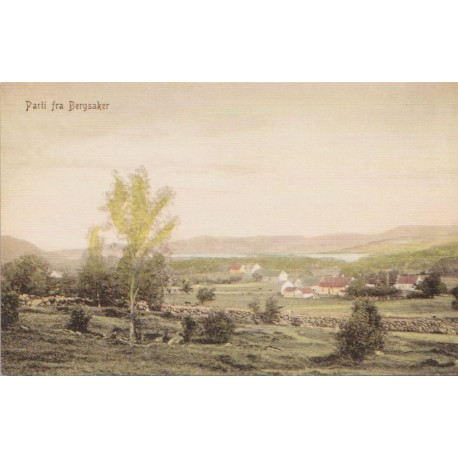 Parti fra Bergsaker - Reproduksjon - Rogaland - Postkort