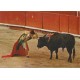 Toros - Tyrefekting - Spania - Postkort