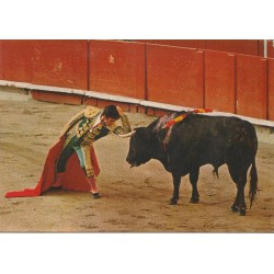 Toros - Tyrefekting - Spania - Postkort