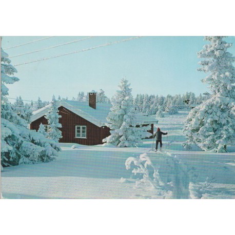 Vinter i Norge - Hytte og skiløper - Postkort