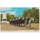 Horse Guards Parade - Whitehall - London - England - Postkort