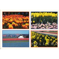 Holland - Fotografie & uitgave door - Postkort