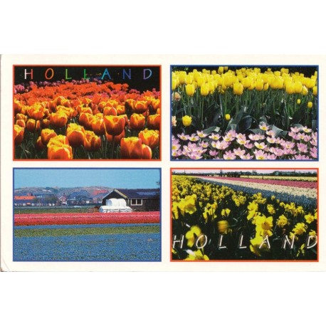Holland - Fotografie & uitgave door - Postkort