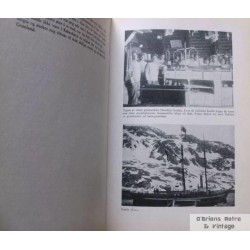 Tyve år blandt grønlendere